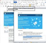 Pdf to Word Conversion.jpg