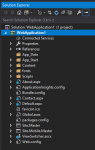 Web Application.PNG