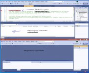 DebuggerControl.Net.5.Not.Working.jpg